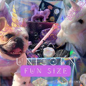 Unicorn Themed Mystery Box Mystery Box Crystal Mystery Box Gift small